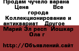 Продам чучело варана. › Цена ­ 15 000 - Все города Коллекционирование и антиквариат » Другое   . Марий Эл респ.,Йошкар-Ола г.